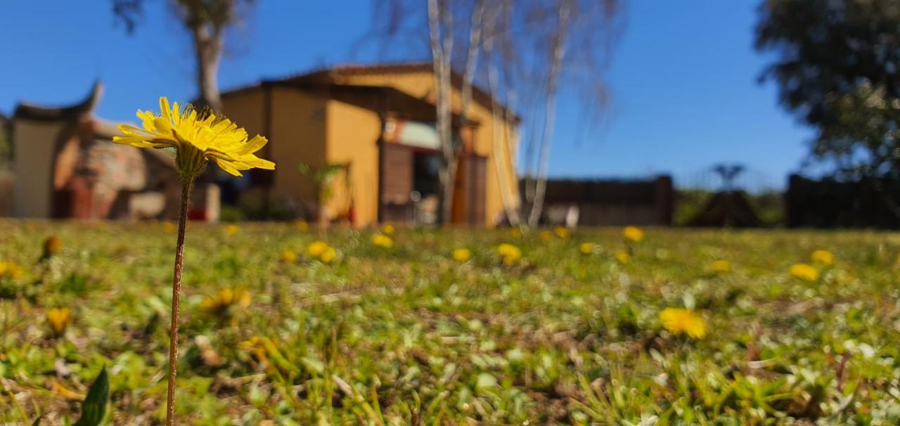 Masia Can Bachs Sant Pere de Vilamajor Eksteriør billede